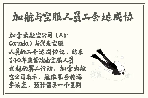 小舞乳液的味道是什么